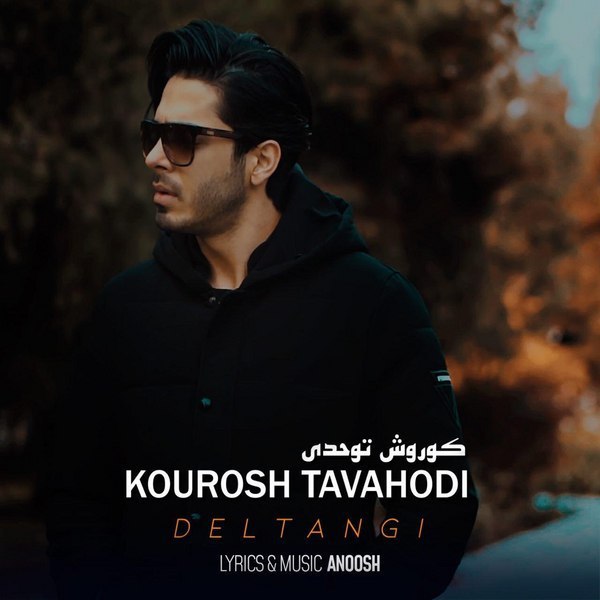 دانلود آهنگ دلتنگی دانلود آهنگ دلتنگی